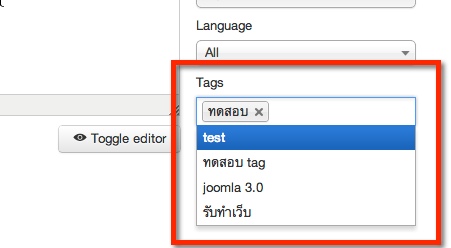 การใส่ Tag ใน joomla3.1 Beta 1